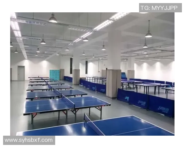 杭州乒乓球队运营分析:成功经验与不足之处的深度剖析 杭州乒乓球队运营分析:成功经验与不足之处的深度剖析