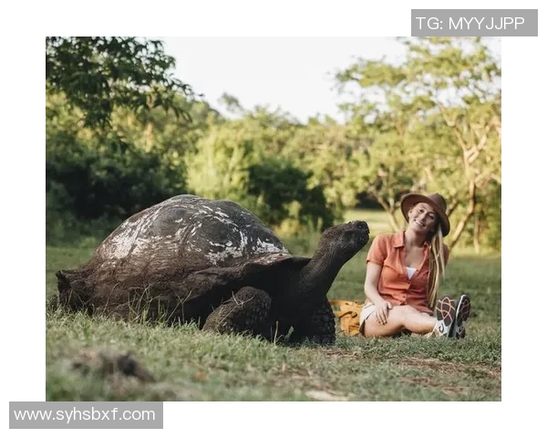极限运动的魅力与挑战吴芳分享她的冒险人生与成长故事 极限运动的魅力与挑战吴芳分享她的冒险人生与成长故事
